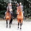 Cours d’équitation à Rambouillet – Ecurie MGD 