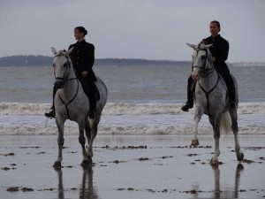 Spectacle équestre - Royan