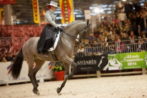 Salon du cheval 2013