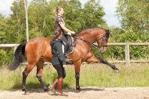 marie gouello - cours équitation