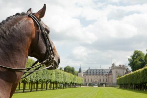 Ecurie Rambouillet - Equitation