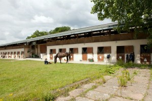 marie gouello ecurie installations