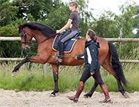 Tarifs Stages et Cours équitation