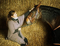 Tarifs Stages et Cours équitation - Pension