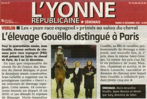 Salon du cheval - Concours de dressage espagnol