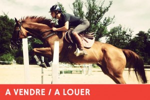 Jument Pas vue pas prise