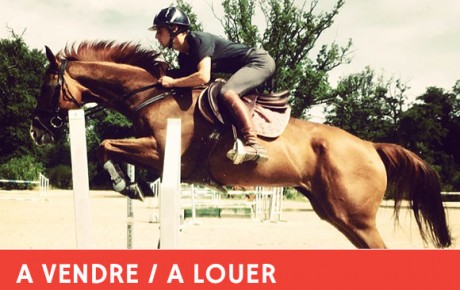Pas Vue Pas Prise – Jument 11 ans