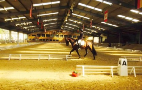 Concours des masters du cheval ibérique au Pin (77)