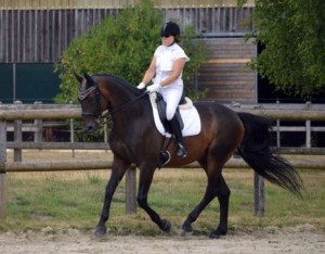 Concours dressage Saint Léger en Yvelines