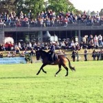 Fontainebleau - Fête de la vènerie