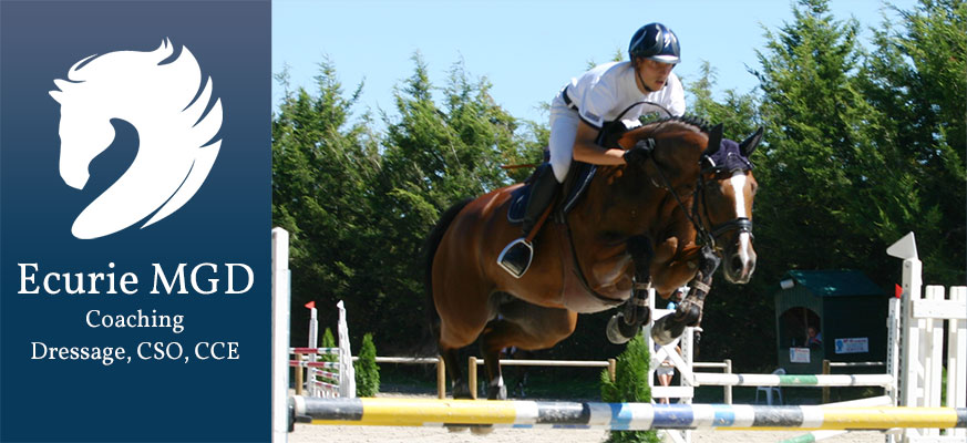 Concours équestres Rambouillet