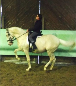 stage equitation piaffer