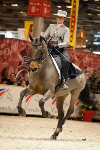 Salon du Cheval 2015 - Porte de Villepinte