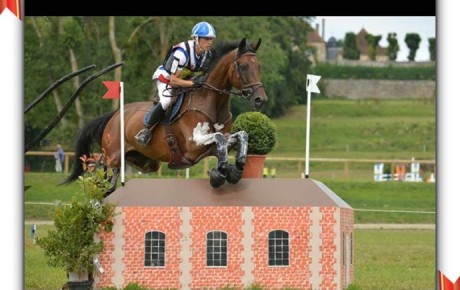 Leçon d’équitation – Un cadeau original qui ravira les passionnés !