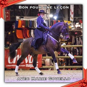 lecon équitation - écurie mgd