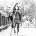 concours equestre mci paris