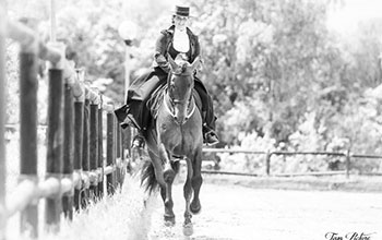 Résultats du concours MCI au Polo de Paris