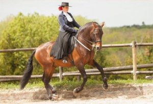concours équestre mci vallangoujard