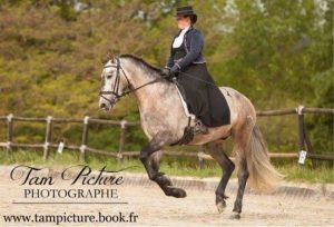 concours équestre mci vallangoujard