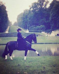 spectacle équestre au domaine de national de Marly le Roi