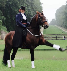 spectacle équestre au domaine de national de Marly le Roi