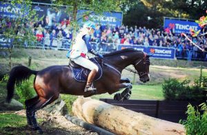 ccio boekelo 2016 - ecurie gouello