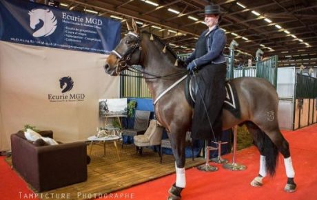 Salon du Cheval 2016