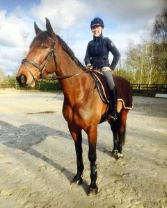 Cours d'équitation à Rambouillet - Ecurie MGD