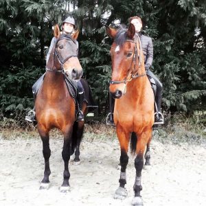 Cours d'équitation à Rambouillet - Ecurie MGD