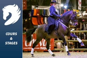 Stages et cours d'équitation à Rambouillet - Yvelines