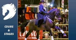 Stages et cours d'équitation à Rambouillet - Yvelines