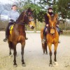 Cours d’équitation à Rambouillet – Ecurie MGD