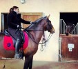 Cours d’équitation à Rambouillet – Ecurie MGD