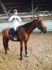 Cours d’équitation à Rambouillet – Ecurie MGD