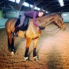 Cours d’équitation à Rambouillet – Ecurie MGD